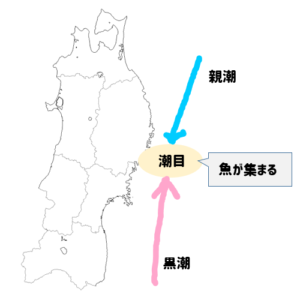 【中学地理】寒流と暖流の違いは？？ | 社スタ