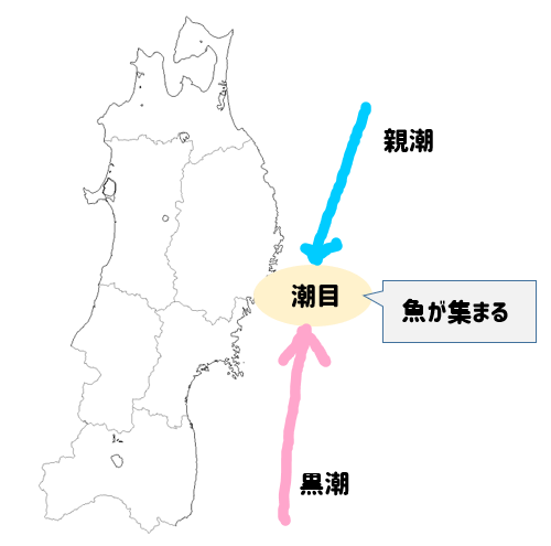 の 海流 日本 周り の 地理4