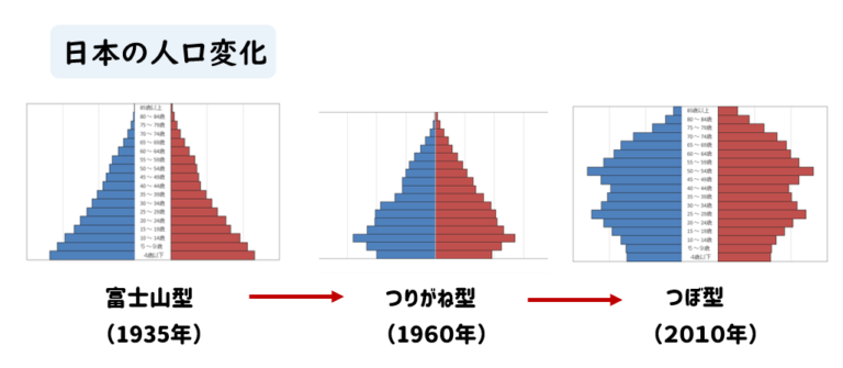 【中学地理】人口ピラミッドの種類と特徴を解説！ | 社スタ